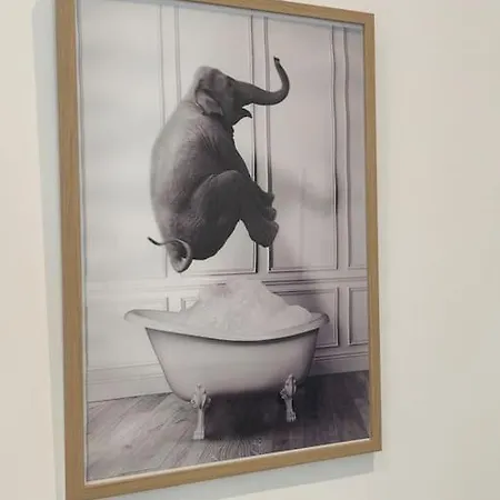Beau équipé